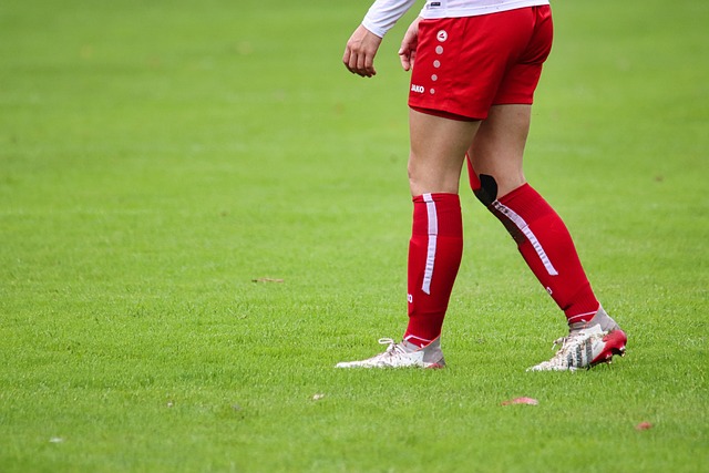 作为葡萄牙 作为葡萄牙