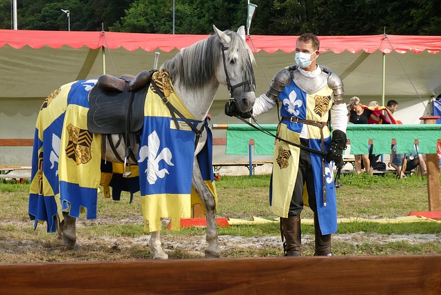 在对阵皇家 在对阵皇家