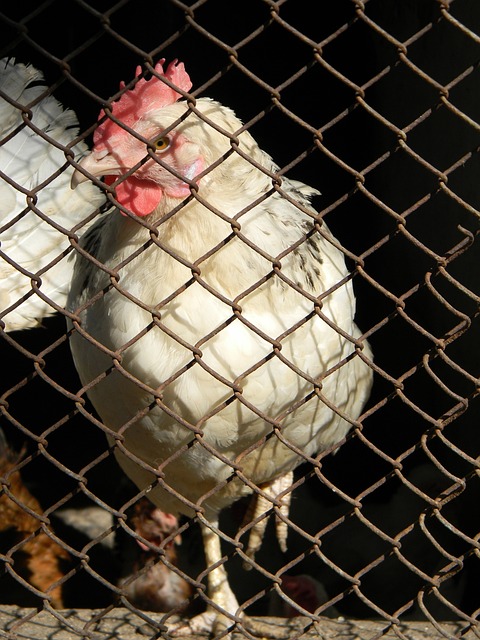 的跑位与传 的跑位与传