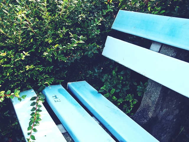 门的竞争 门的竞争