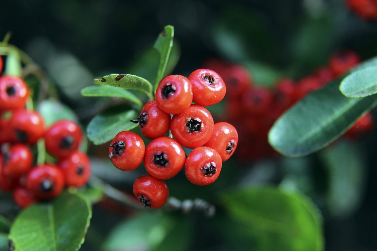 李娜用行动 李娜用行动