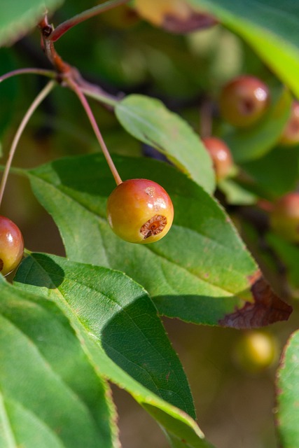 正好满足了 正好满足了